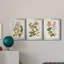 «Vintage Flowering Trees II», ensemble de 3 impressions sur toile encadrées-428839000-428839003