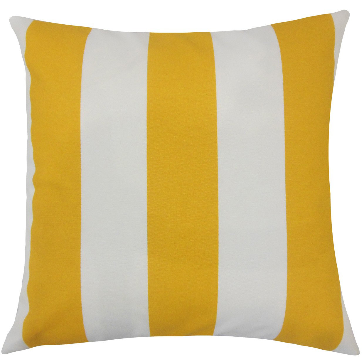 Throw Pillow, 18" H x 18" W x 5" D, Citrus