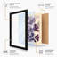 Morning Glory Study Botanical - Print-260777893-260777892