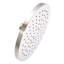 Rain Fixed Shower Head-542220188