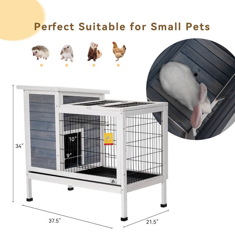 Cages pour animaux domestiques, clapier en bois