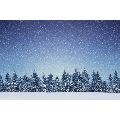 Paysage d'hiver par Borchee