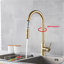 Belfry Kitchen Pull Out Kitchen Faucet