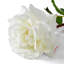 Bouquet Of Roses Three Tone White Real Touch 72 Pcs/3 Varieties-1868985662