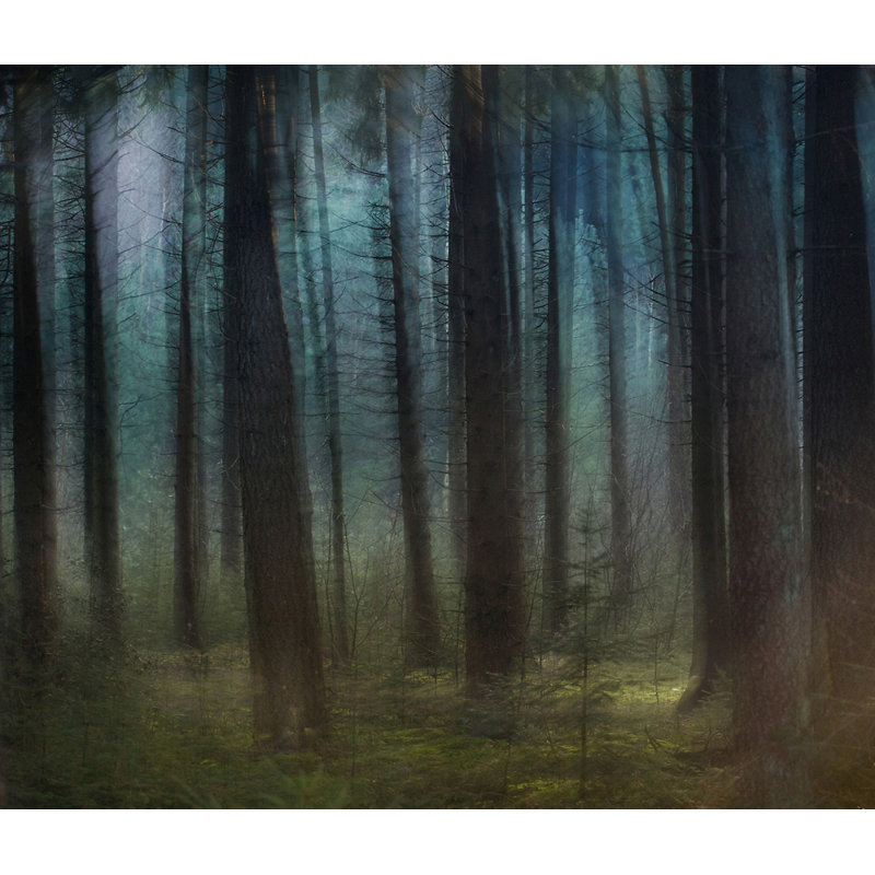 Wrapped Canvas Print, 50.8 cm H x 76.2 cm W