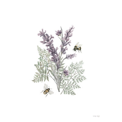 Lavande botanique - impression sur toile tendue