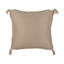 ERIGERON Beige Square Cushion