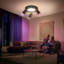 Shelvin Spotlight-751487646