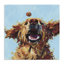 Toile pour chien Traiter Loyal, design par Studio Bautista