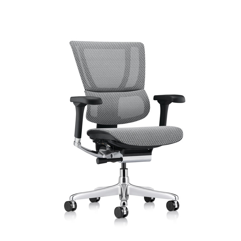 Ergohuman Xtreme Lo Back, Gray