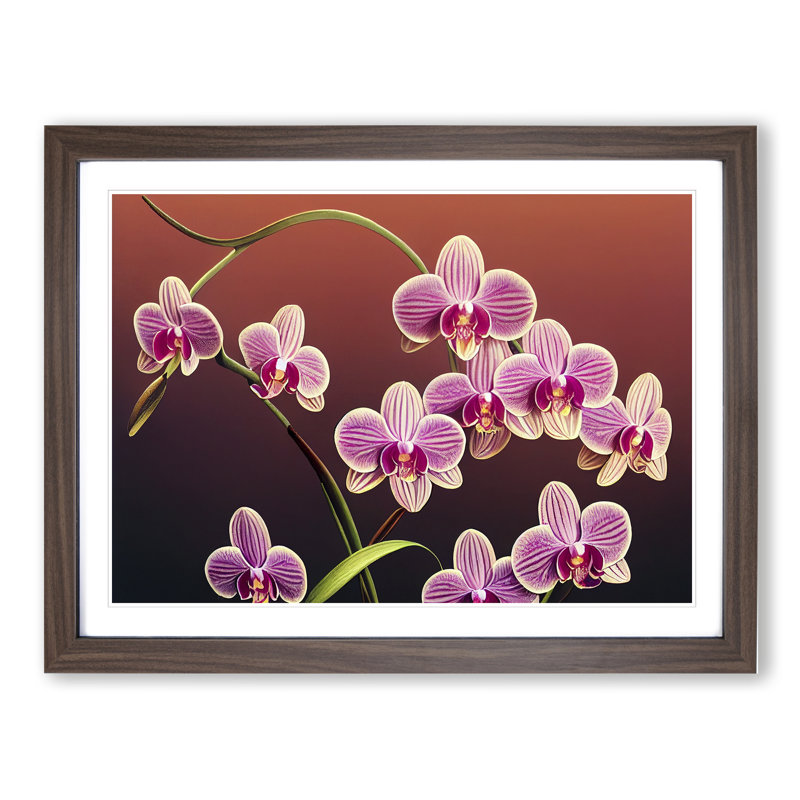 Dashing Orchid Flowers - Single Picture Frame Print, 46cm H x 64cm W x 2cm D, Walnut Framed