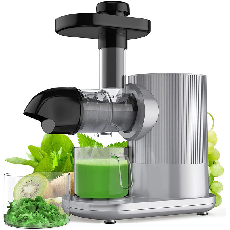 COSTWAY 150W Electric Slow Masticating & Cold Press Juicer