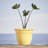 Traditional Self-Watering Plastic Indoor/Outdoor Pot Planter-1973633022-1921265536