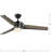 Kasota 56'' Ceiling Fan with LED Lights-62173862