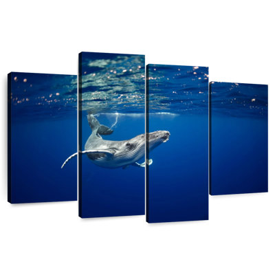 Baleine à bosse dans la mer