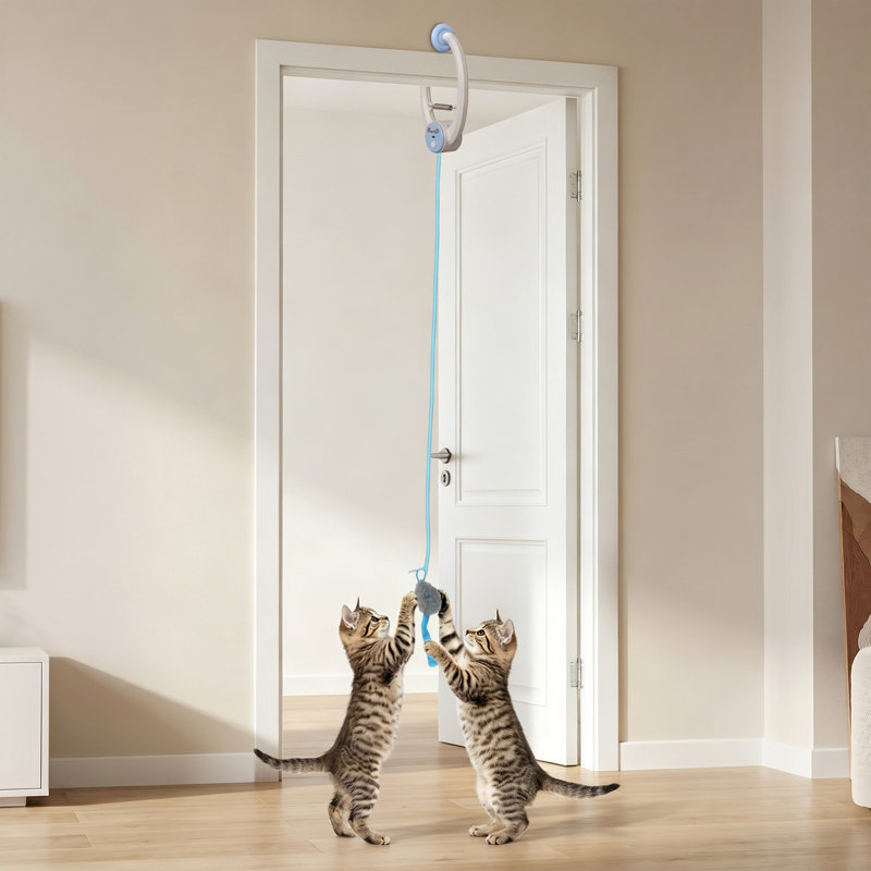 Hybrid Feeder/Toy