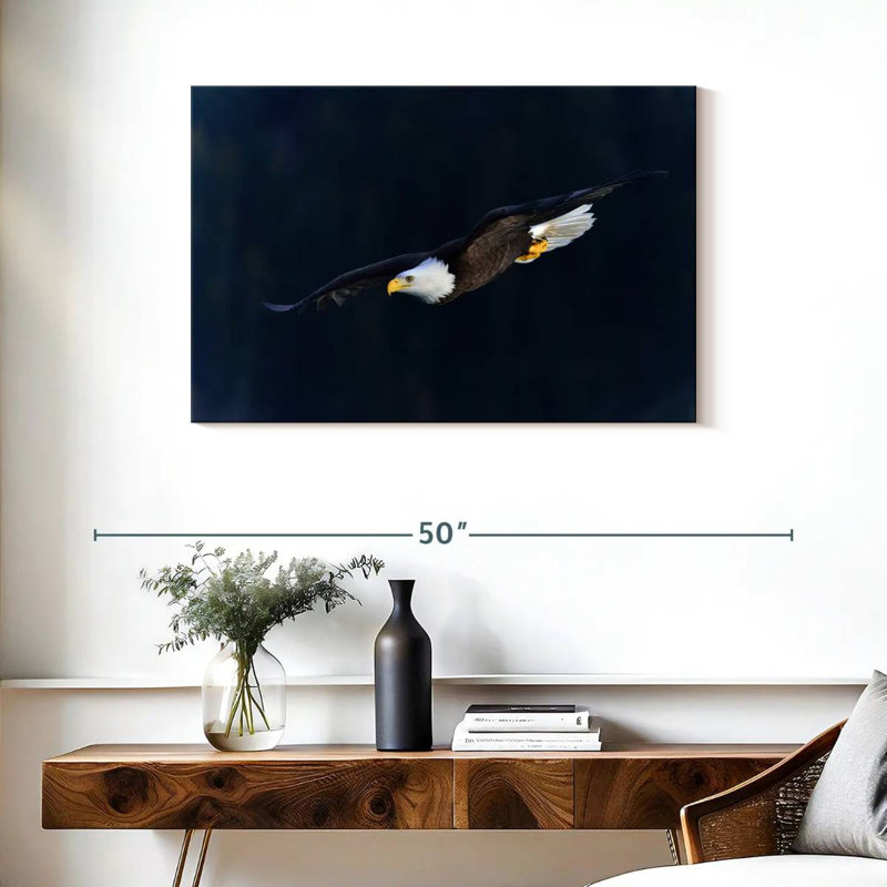 Brampt Aerodynamic Eagle, 24" H x 36" W