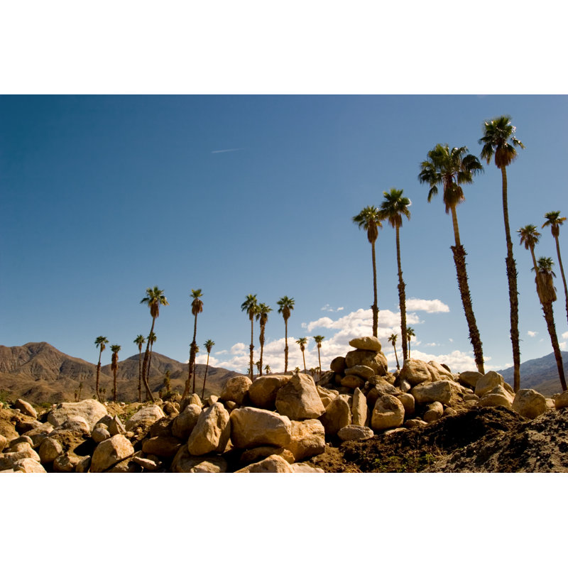 Palm springs, 61cm H x 91cm W