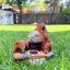 Statue de jardin solaire Playful Puppies