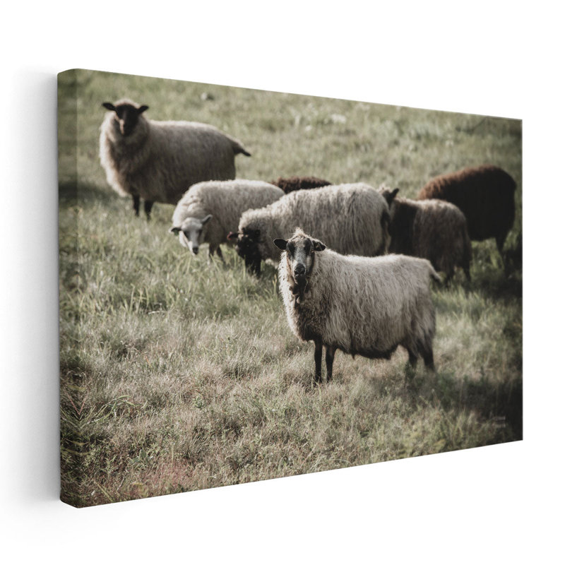 Pâturages - reproduction d'art sur toile, H 20 po x l 30 po