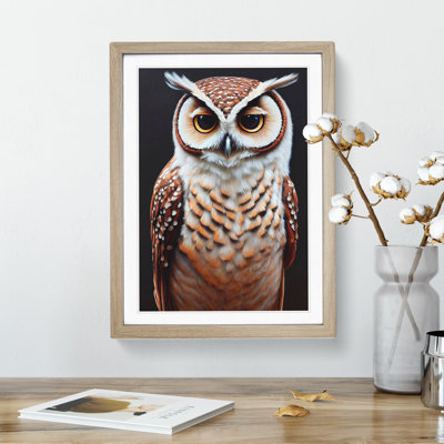 Owl Portrait No.5 - Framed Print