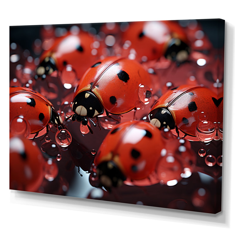Dreamy Ladybug Reflections sur toile, Toile tendue, H 24 po x l 32 po x P 1 po