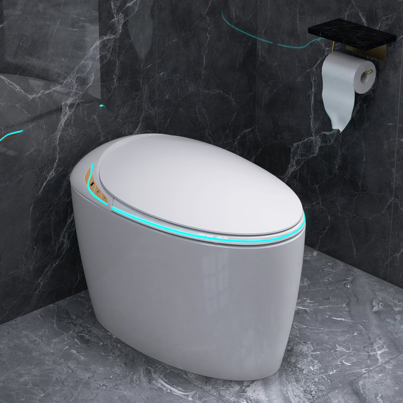 Elongated Egg Shaped Smart Toilet With Bidet Seat, Auto Open&Auto Flush, Adiusted Heated Seat, Warm Water And Dryer, Night Light, Side Buttons