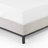 Estrela Upholstered Metal Wingback Bed-120689719-120689721