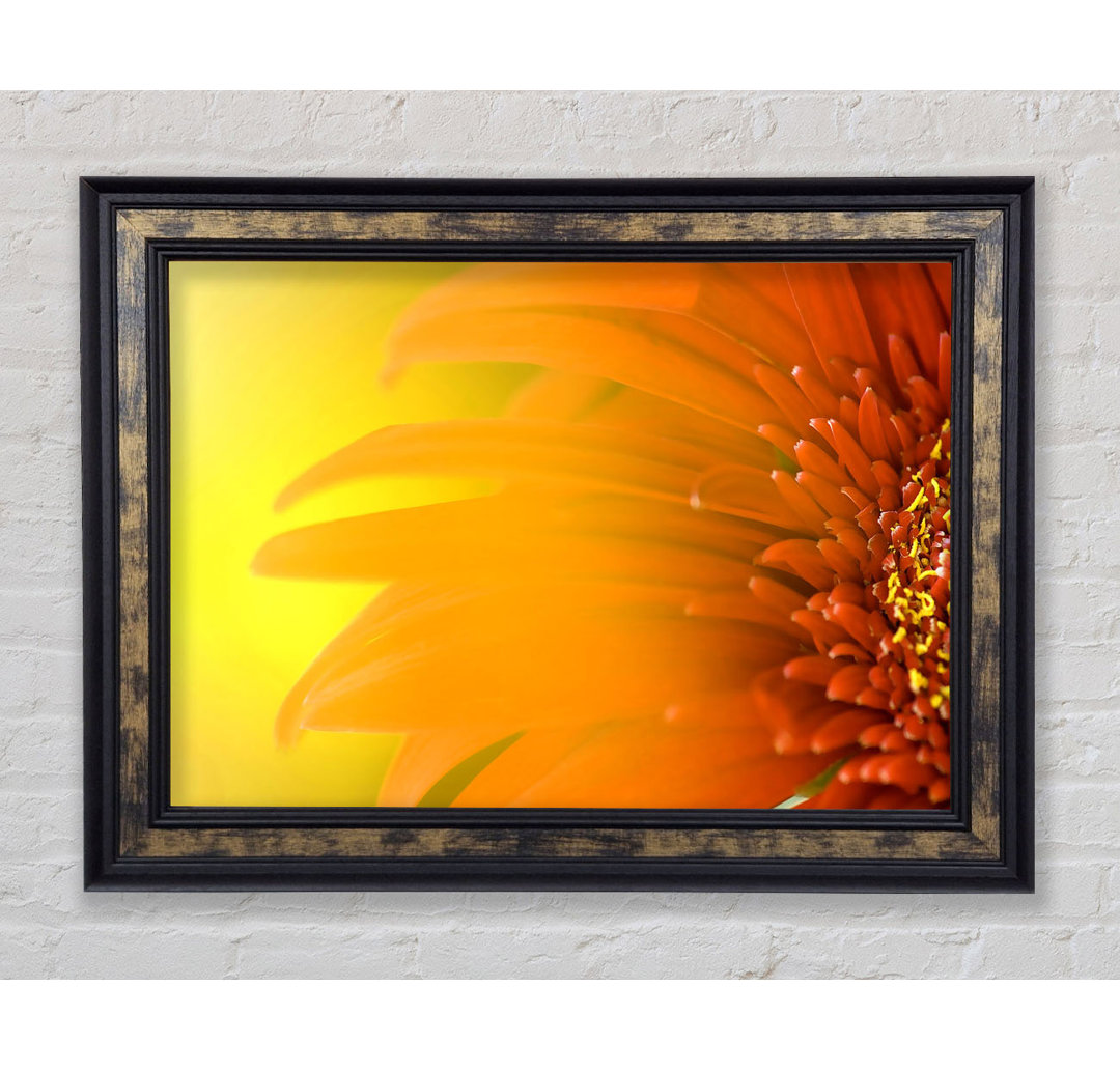 Orange Flower Mist - Einzelner Bilderrahmen Kunstdrucke