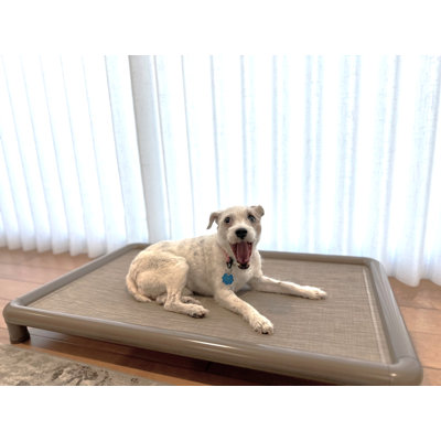 Cooling Elevated Dog Bed