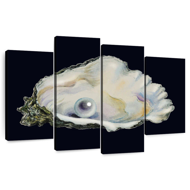 Brampt Pearl In Shell, 42"H x 68"W