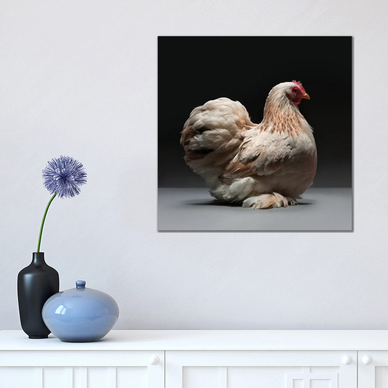 Cochin Bantam by CHICken - Wrapped Canvas Print, 45.72 cm H x 45.72 cm W x 1.91 cm D