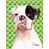 Boxer (blanc et noir) sélectionné