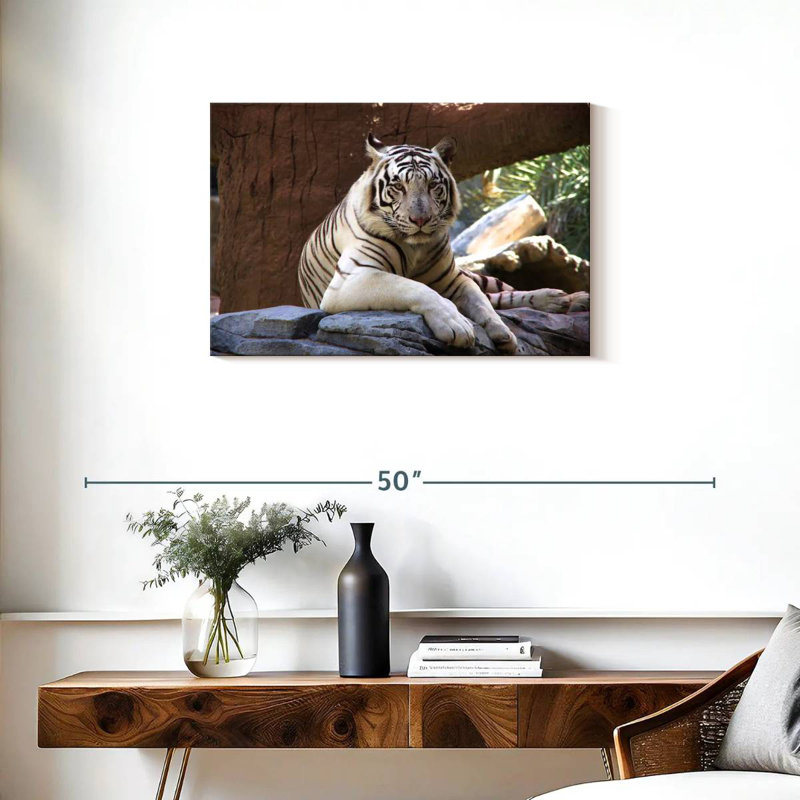 Crowle Resting White Tiger, 20" H x 30" W
