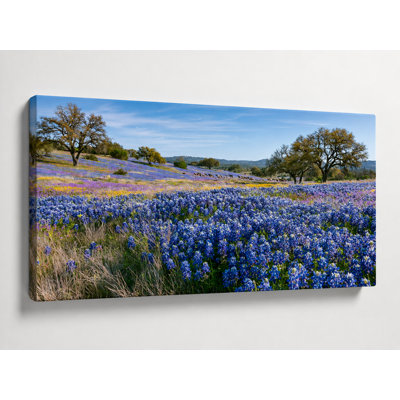Bluebonnet Valley Oak - Texas Wildflower Landscape on Wrapped Canvas Wall Art