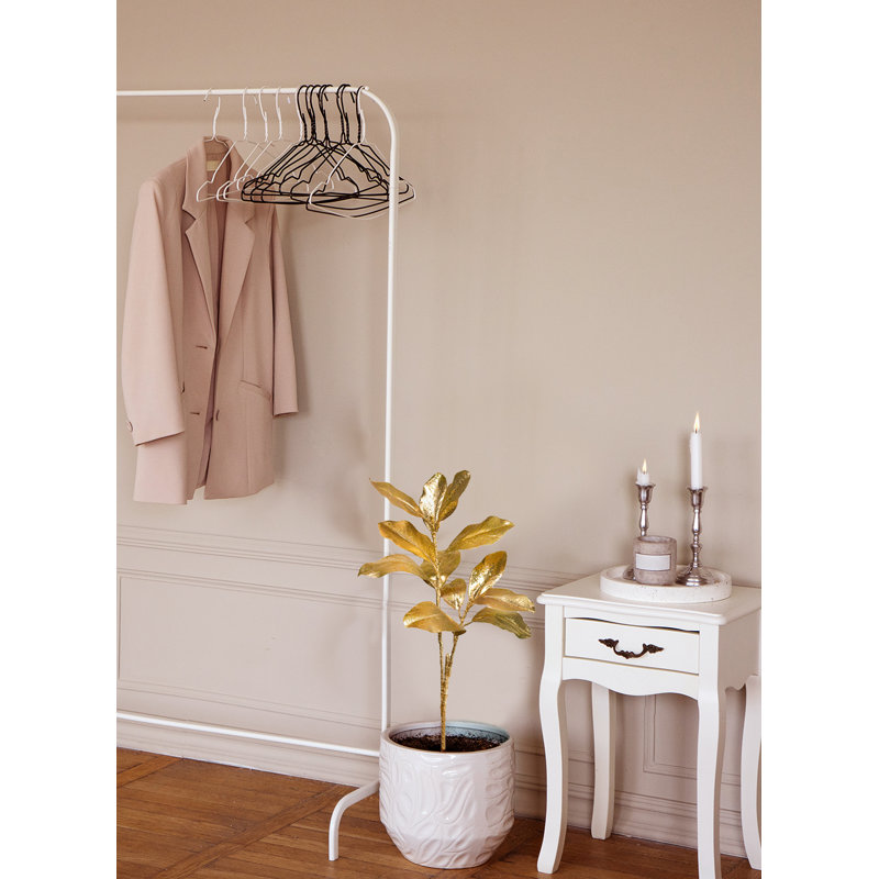 Primrue 37 po Magnolia, paquet de 6