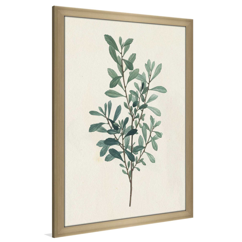 Victorian Garden Greenery I - Peinture, L 21,5 po x H 27,5 po, Encadrement brun