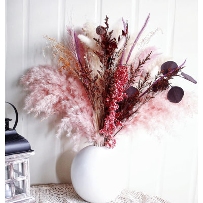 17'' Pampas Grass Plant