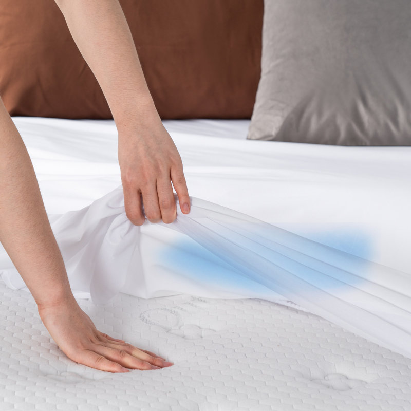 Housse de protection ajustée pour matelas Flavia, Double