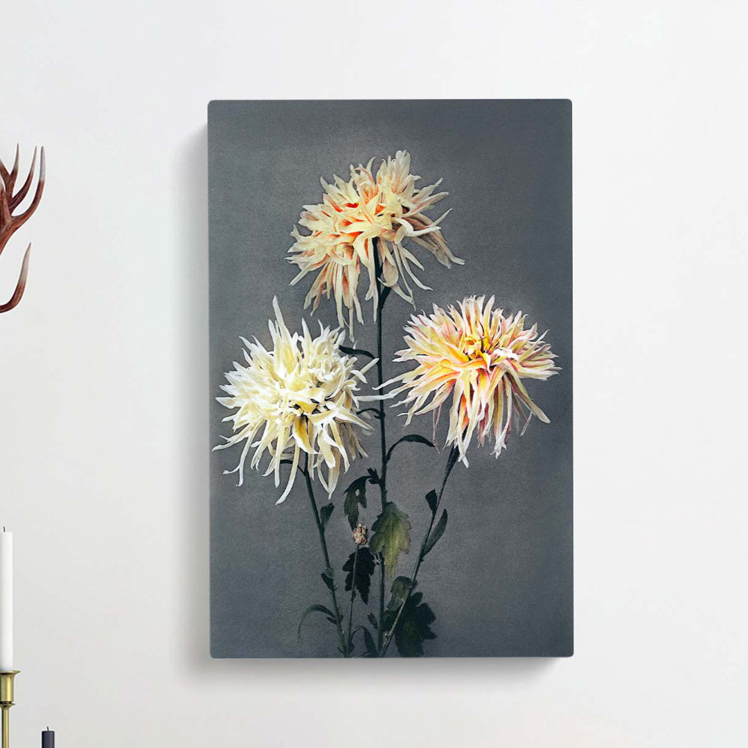 Three Chrysanthemums by Ogawa Kazumasa - Wrapped Canvas