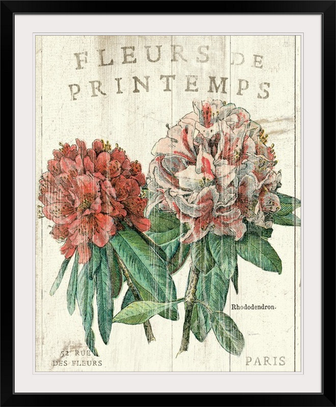 « fleur de printemps » par sue schlabach, impression, Cadre noir, H 38 po x l 32 po x P 1 po