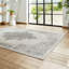 Artemis Artemis area rug Machine Woven Rectangle Silver-93557232