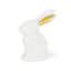 Golden Eared Hare, White-1174788610