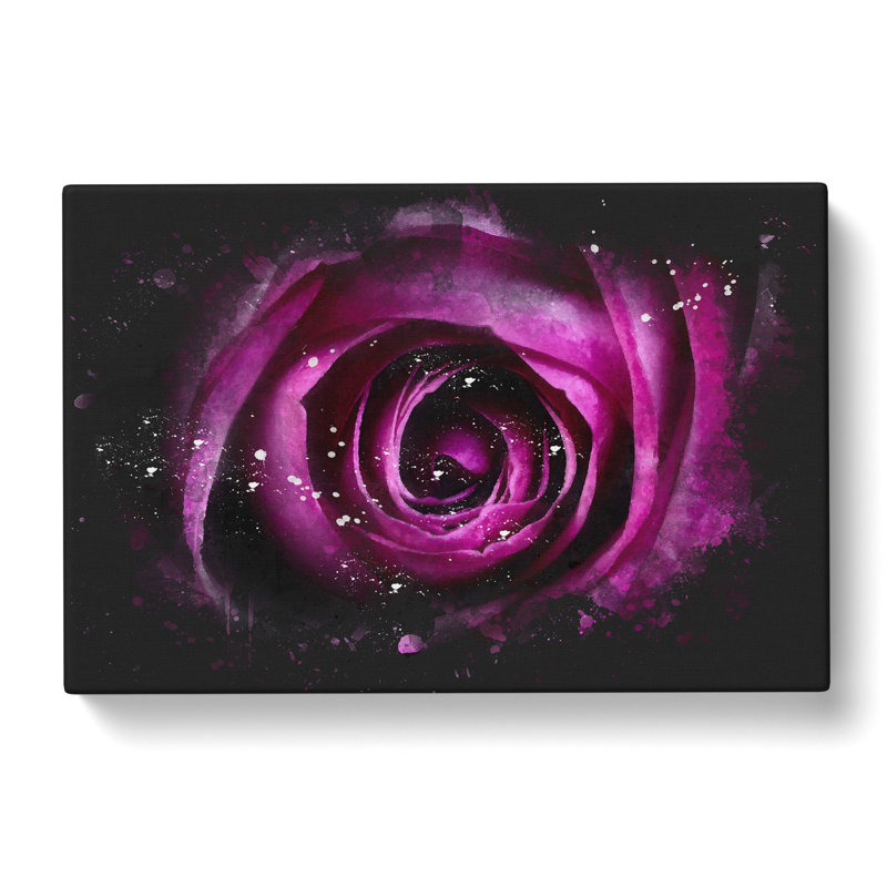 Purple Rose Flower Vol.2 - Wrapped Canvas, 60cm H x 91cm W x 3cm D