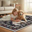 Tapis d'intérieur lavable mignon Black Puppy-1001641059-1001641056
