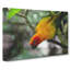 Parrot - Wrapped Canvas-61838713