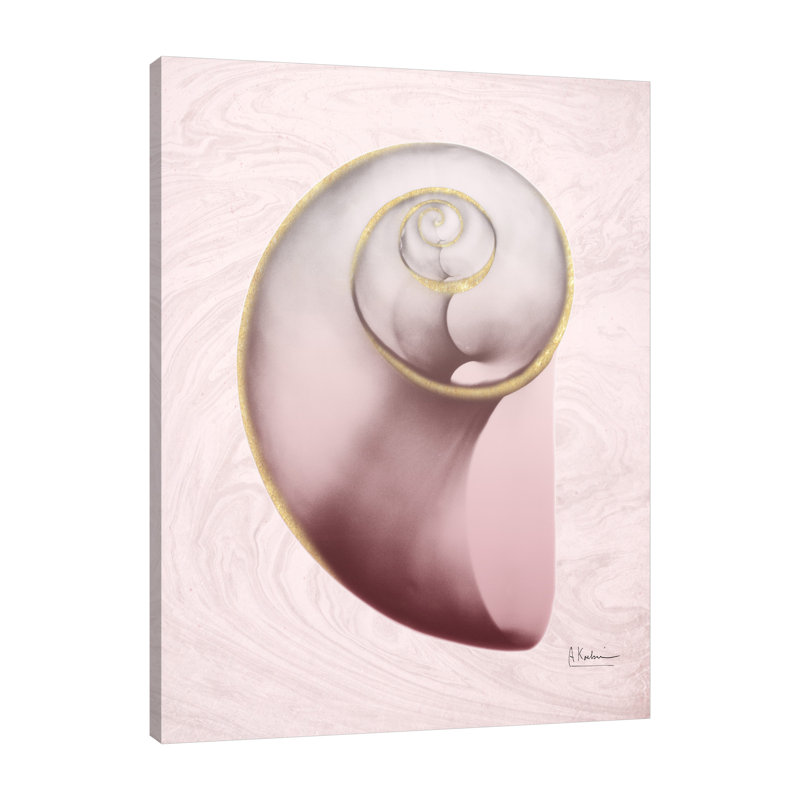 Marble Blush Snail 2 - Wrapped Canvas Print, 51 cm H x 38 cm W