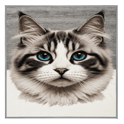 Washable Ragdoll Cats Area Rug