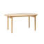 Tanza Extendable Dining Table