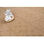 Tapis Laylonie-1613388331